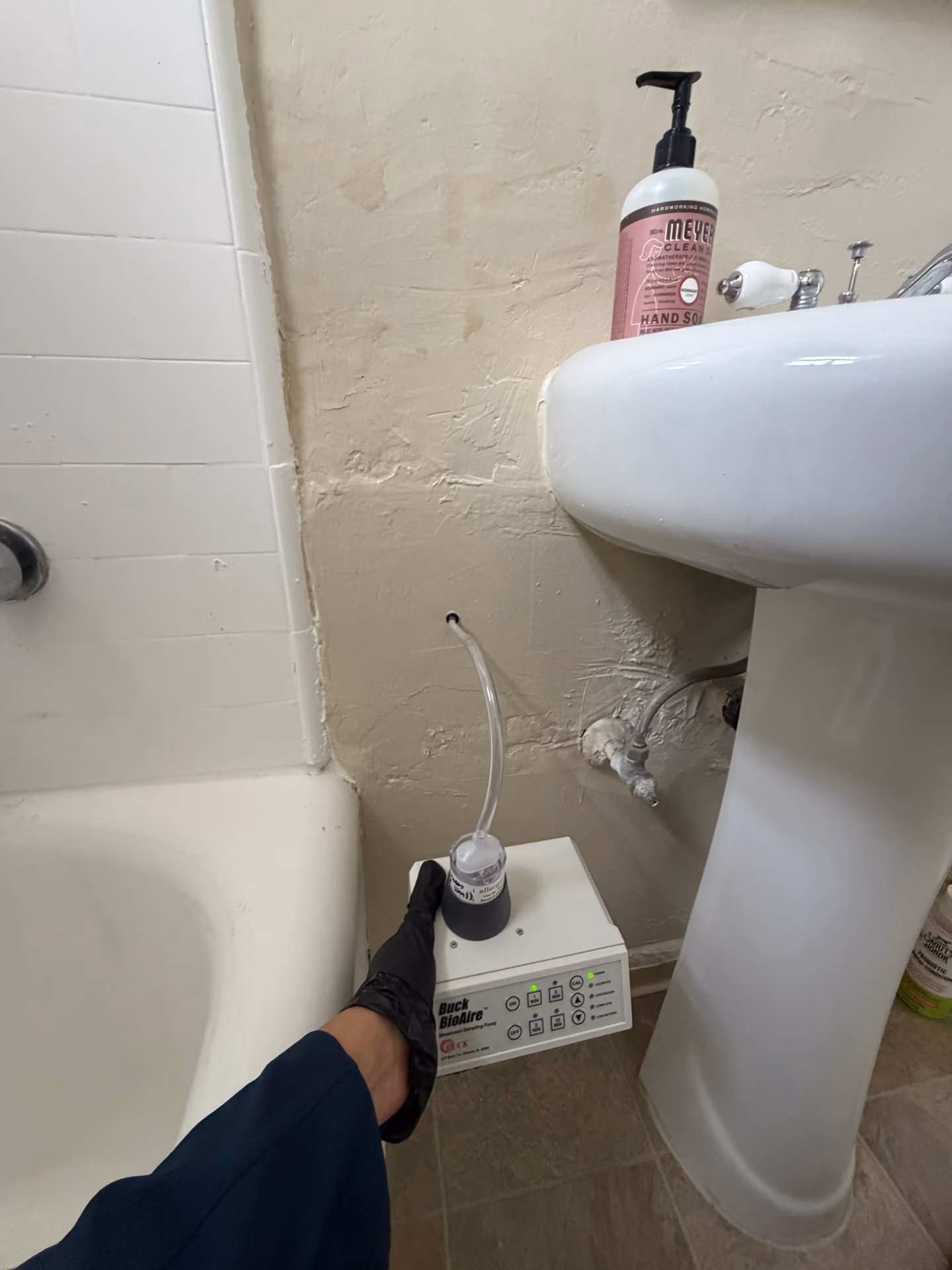 How wall cavity mold testing works
